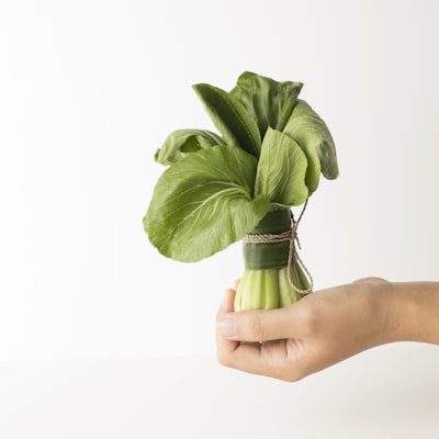Cải thìa Vinamilk bó