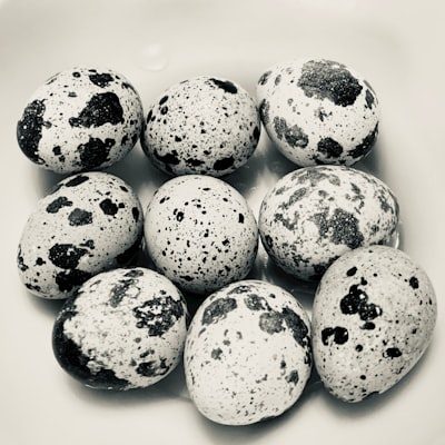 Trứng cút vỉ